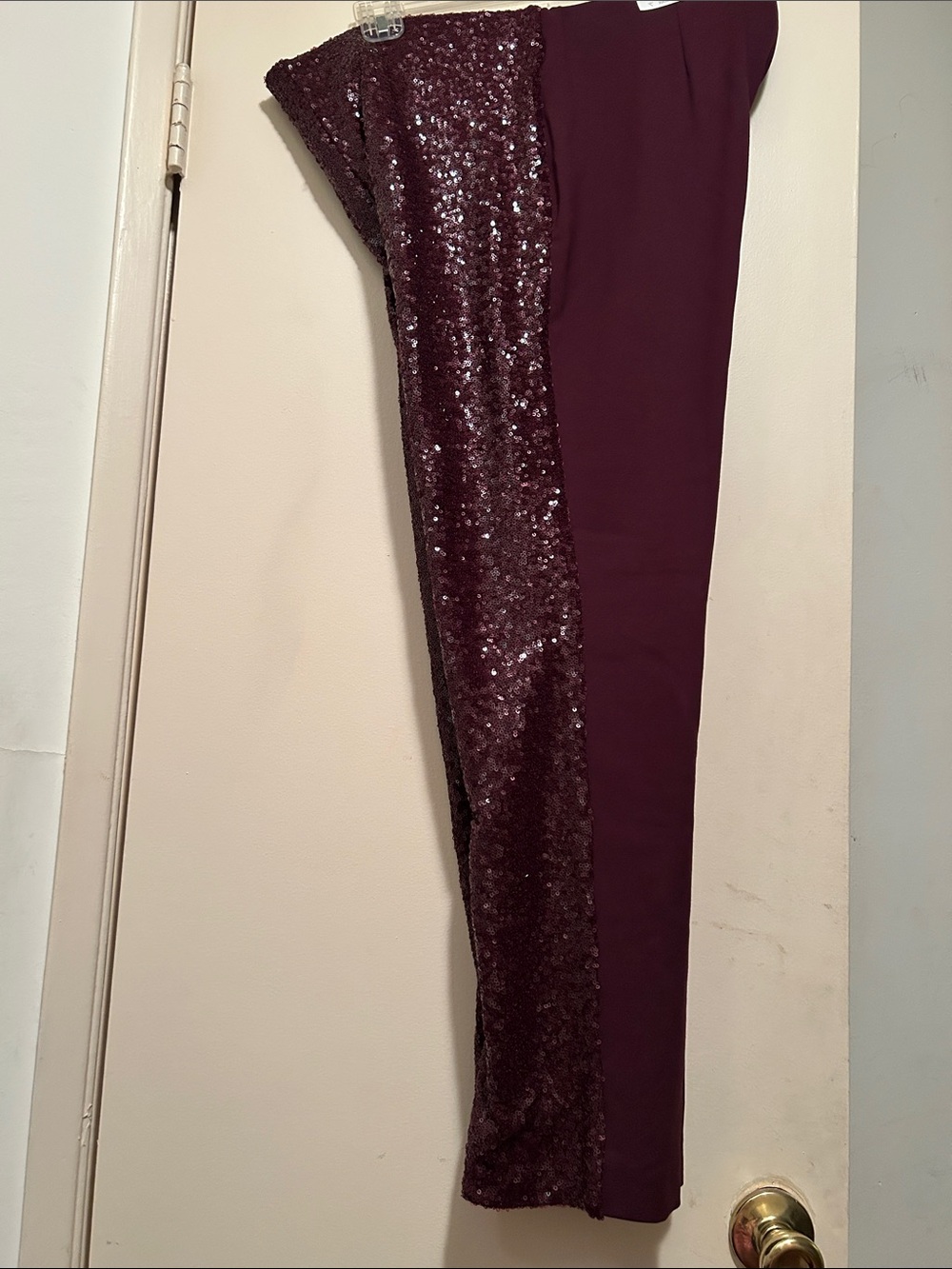 Sequin Side Ankle Pants in Burgundy
